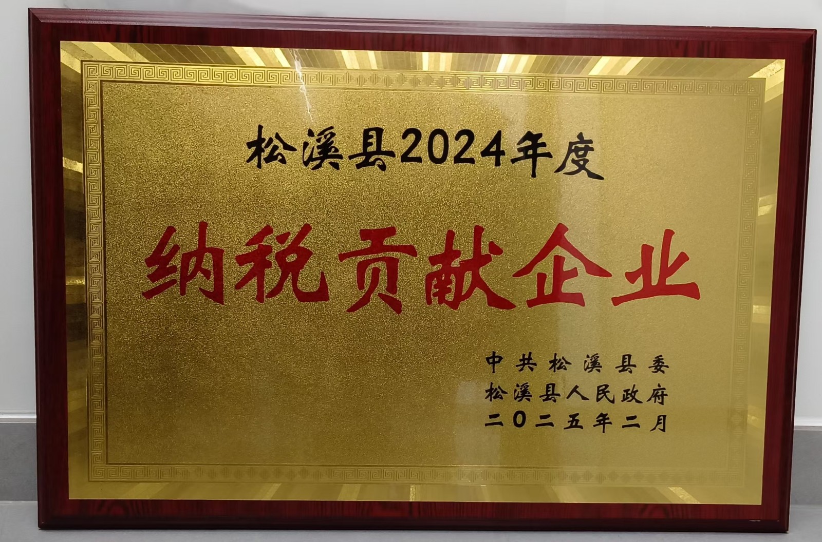 喜報(bào)!易順建工集團(tuán)榮獲“松溪縣2024年度納稅貢獻(xiàn)企業(yè)”稱(chēng)號(hào)